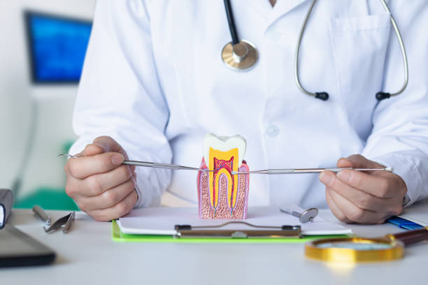 Best Emergency Treatment for Toothache in Edgewood, KY
